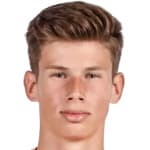B. Ungureanu